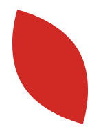 Red leaf