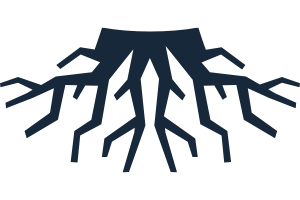 Tree roots